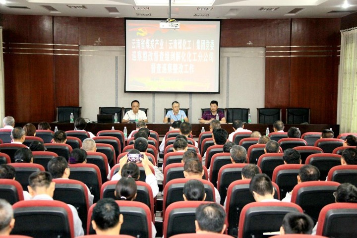 集团党委巡察整改督查组对解化化工分公司党委发展督查查抄