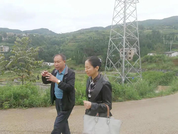 集团党委委员、财政总监莫晓丹一行到羊场口煤业和顺源煤矿发展煤矿项目建设工作专项调研