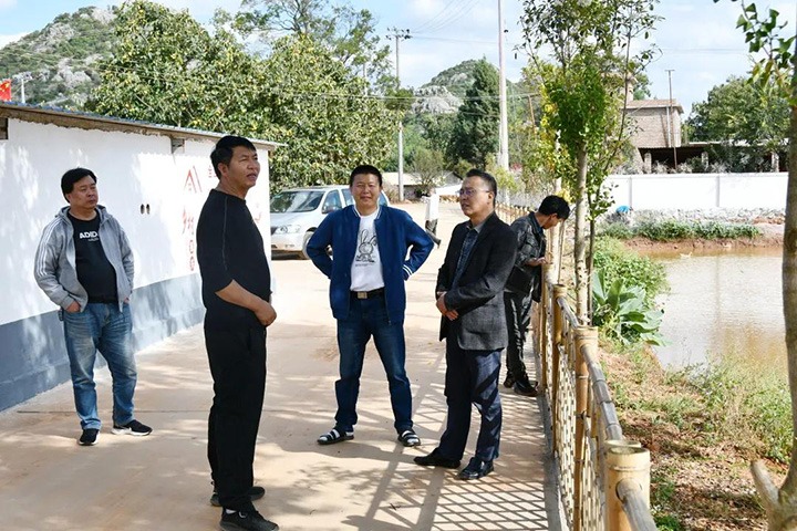 云维集团党委调研村落振兴示范村创建工作