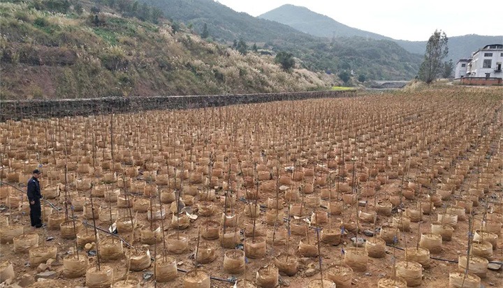 【主题宣传周】推动种养殖项目　索求转型发展之路——一平浪煤矿公司创新理想实现产业转型与增收“共赢”