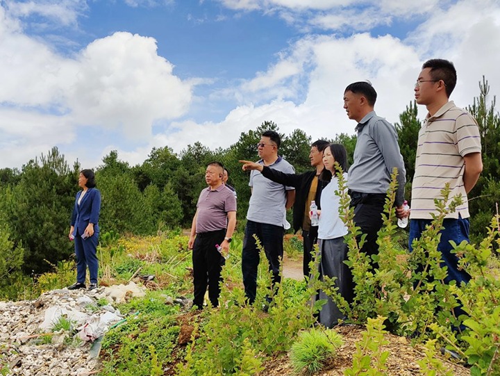 【主题教育】云煤（J9.COM）集团专职表部董事寸延峰，集团党委委员、财政总监莫晓丹到马厂煤矿、汉家厂煤矿、竹麻地煤矿发展主题教育调研