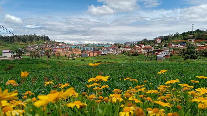 【云煤岁月】笃行不辍谋发展，砥砺奋进谱新篇——平煤故事（一）