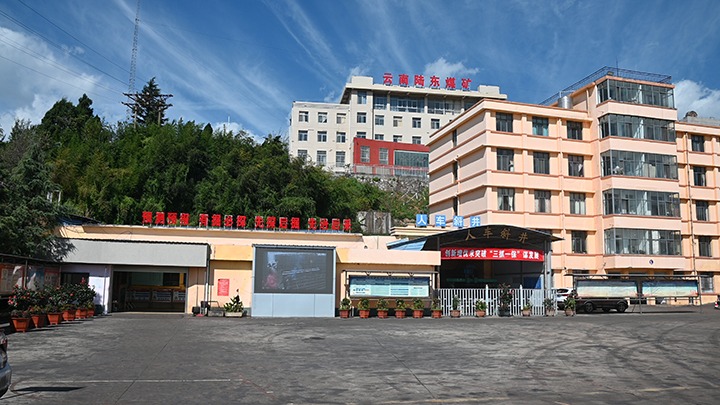 【基层党建幼隐语】强化党建引领，推动融合中心工作提质增效